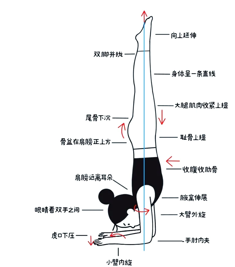 哪里能找到关于智能球衣在篮球训练中应用的信息_1
